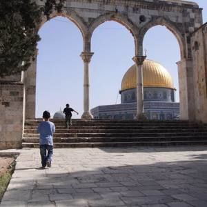 Meet your Posher, Awali